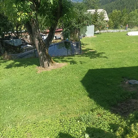 Kosariska *